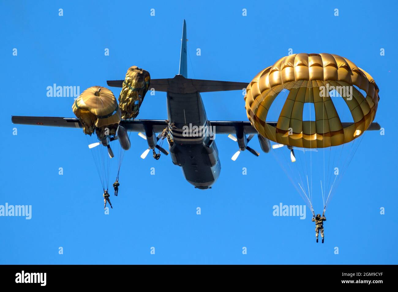 Paratroopers jumping out of a Lockheed Martin C-130 Hercules military aircraft. The Netherlands - September 21, 2019 Stock Photo