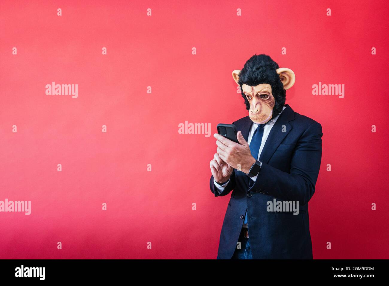 Businessman in monkey mask using smartphone. Stock Photo