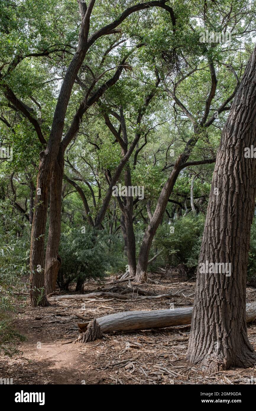 Rio Grande Valley High Resolution Stock Photography And Images Alamy
