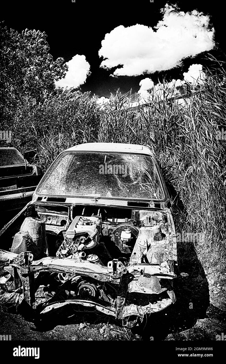Black and white concept abandoned vehicle post-accident in the natural thickets vertical orientation Stock Photo