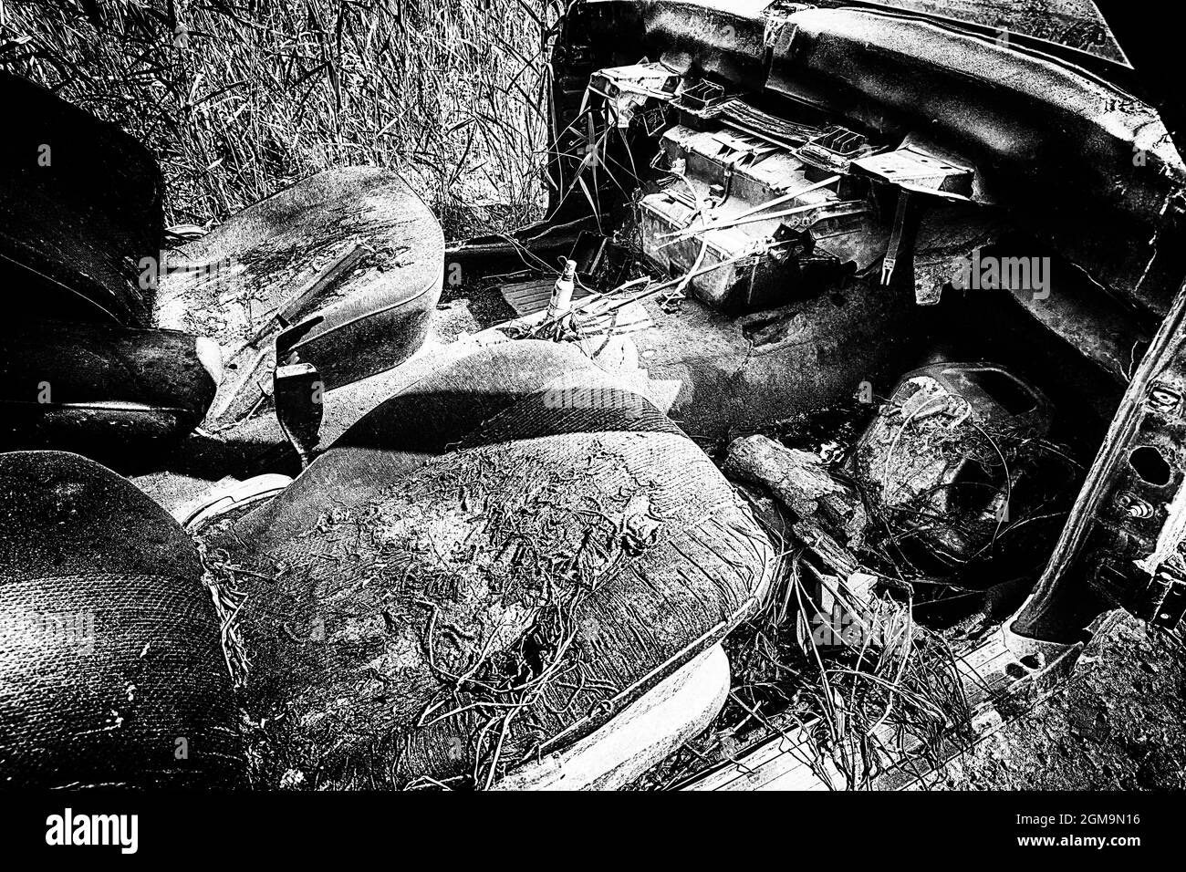 Black and white concept an ugly interior of a car in dry grass and twigs thrown into the environment after an accident Stock Photo
