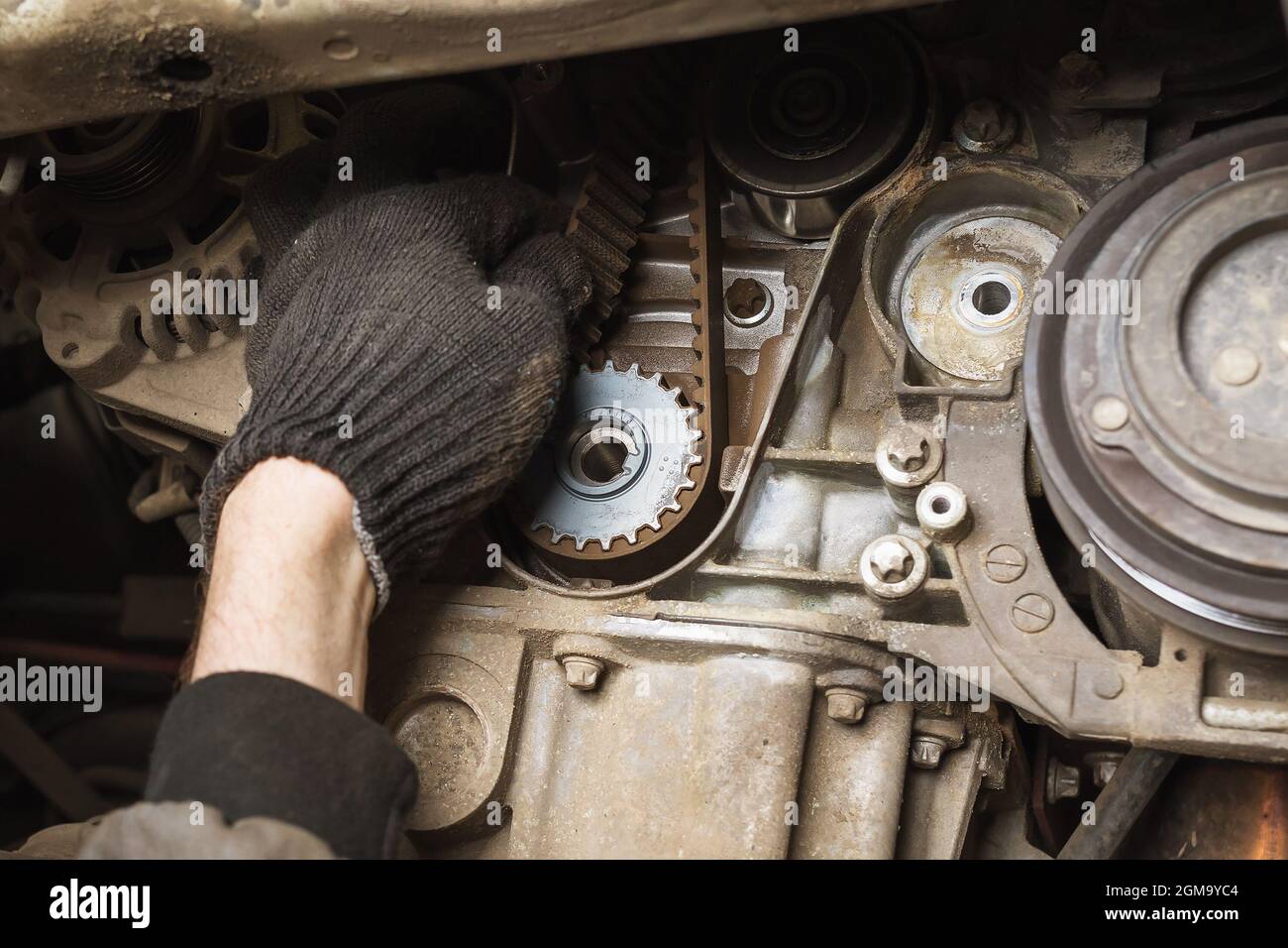 An auto mechanic checks the condition of an old timing belt during a technical inspection, close-up Stock Photo