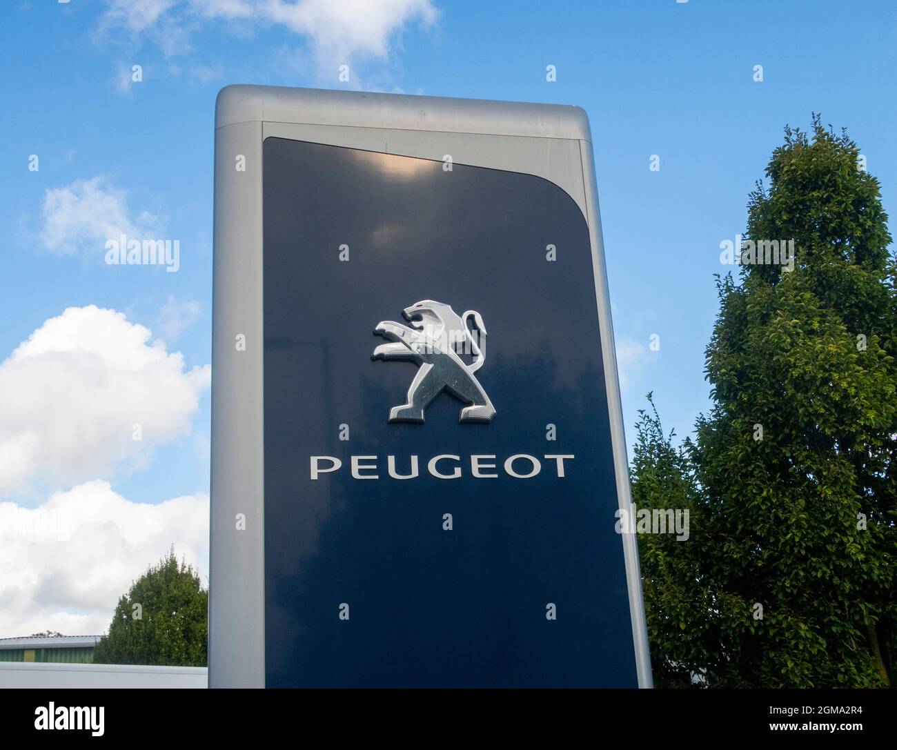 French Classic Peugeot Emblem Light 3D LED Backlit Car Logo - China Car  Sign and Peugeot Sign price