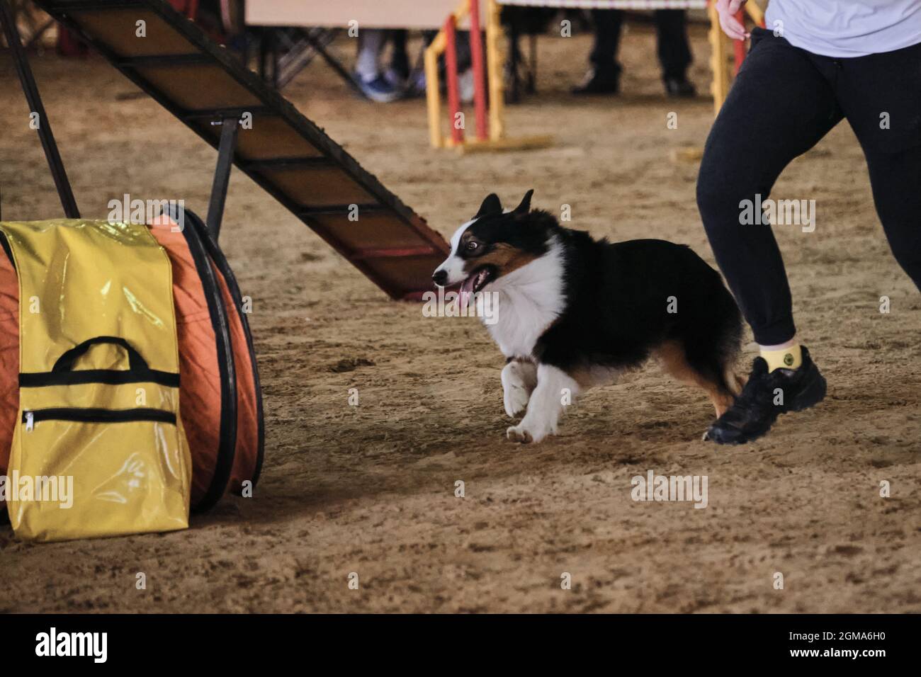 Black pipe runs hi-res stock photography and images - Alamy