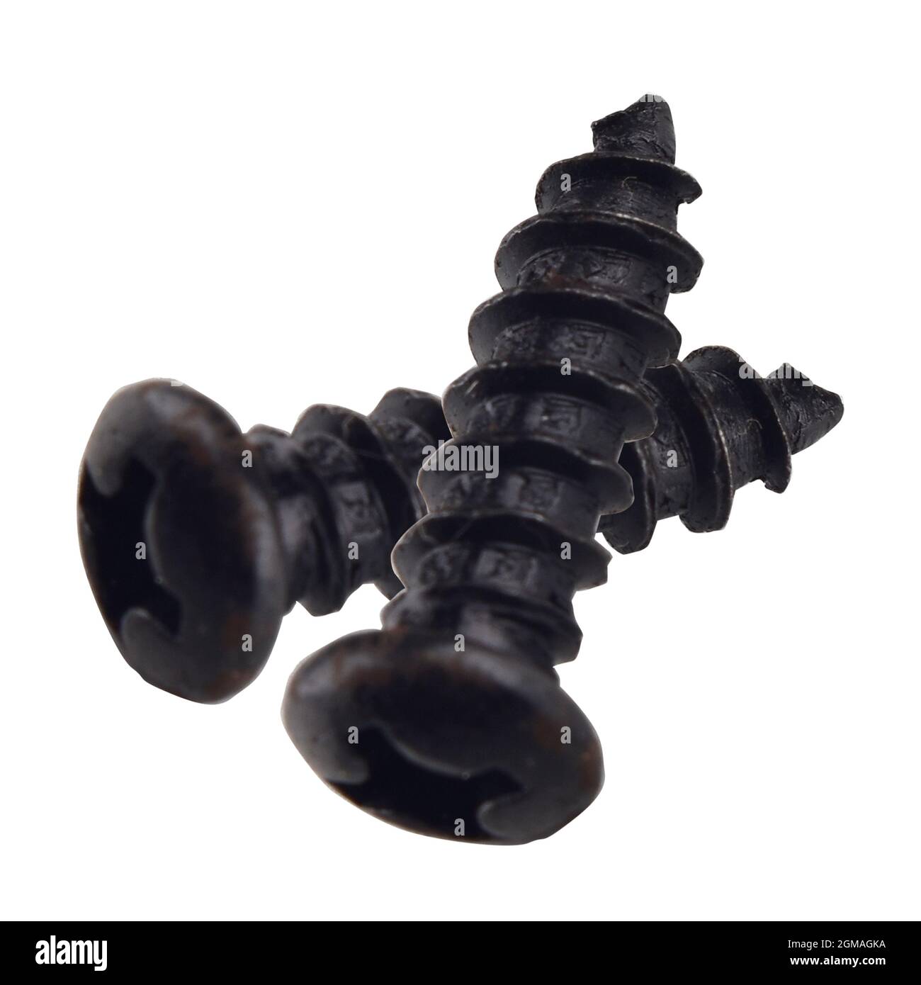 two black screws isolated on white background, clipping path Stock Photo