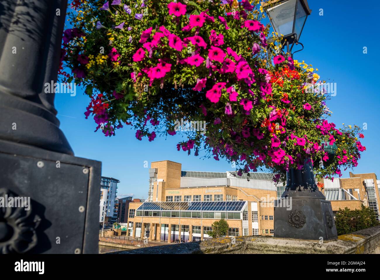 John Lewis Department store seven through the hanging flower baskets on