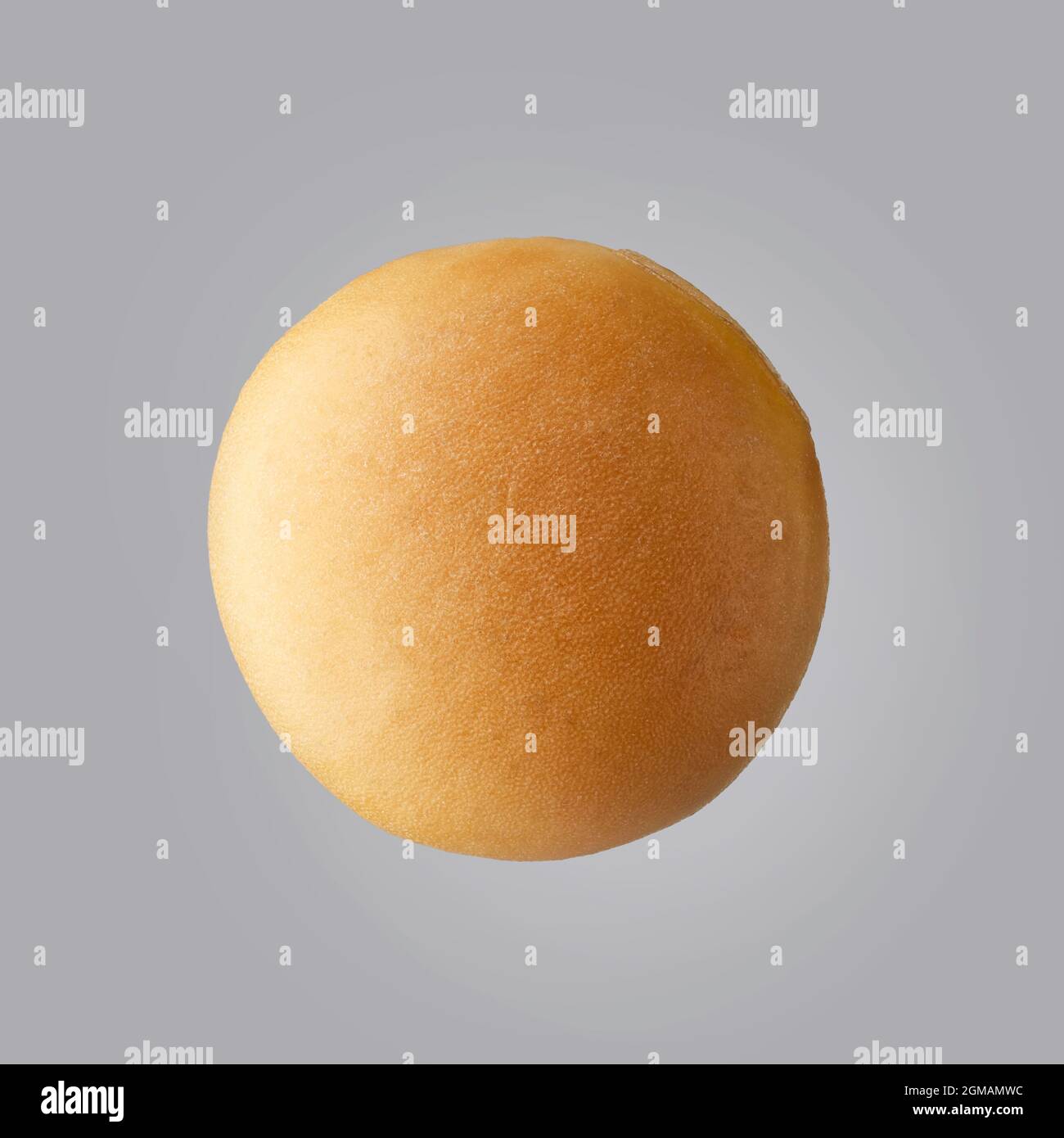 soy bean macro isolated on grey background Stock Photo