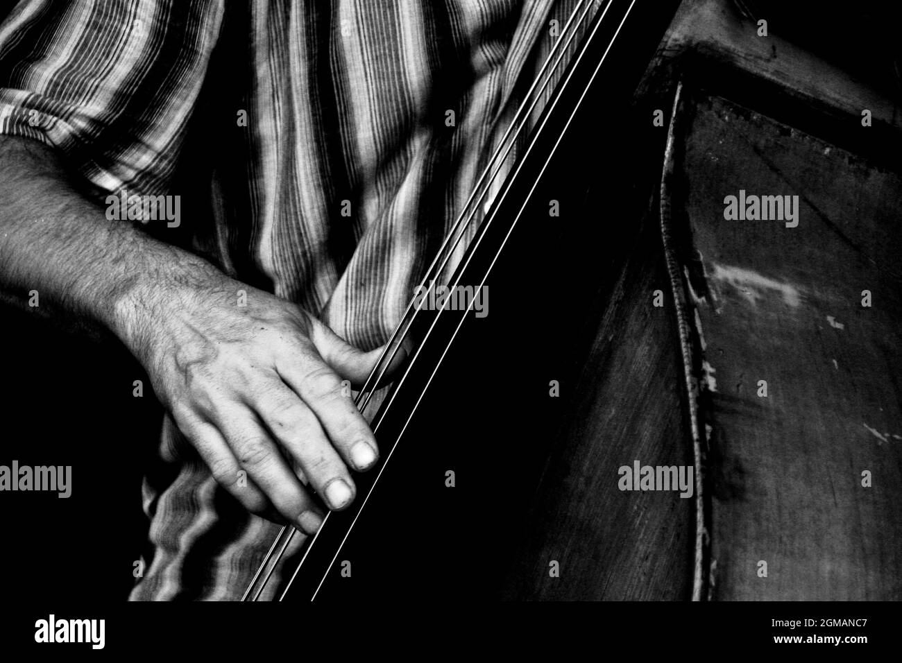 Playing double bass Black and White Stock Photos & Images Alamy