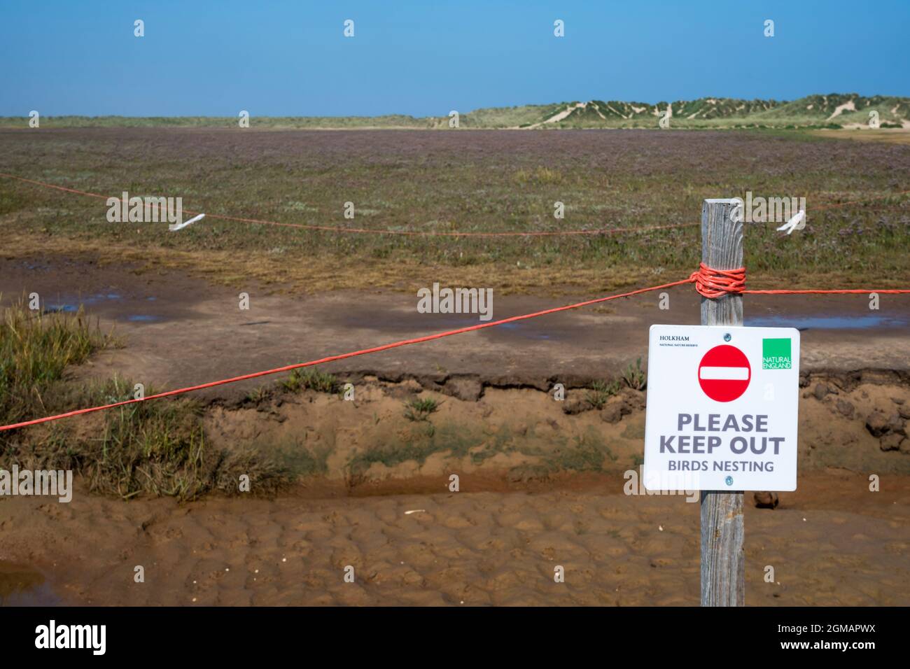 Please Keep Out Birds Nesting sign at Holkham National Nature Reserve on the North Norfolk coast. Stock Photo