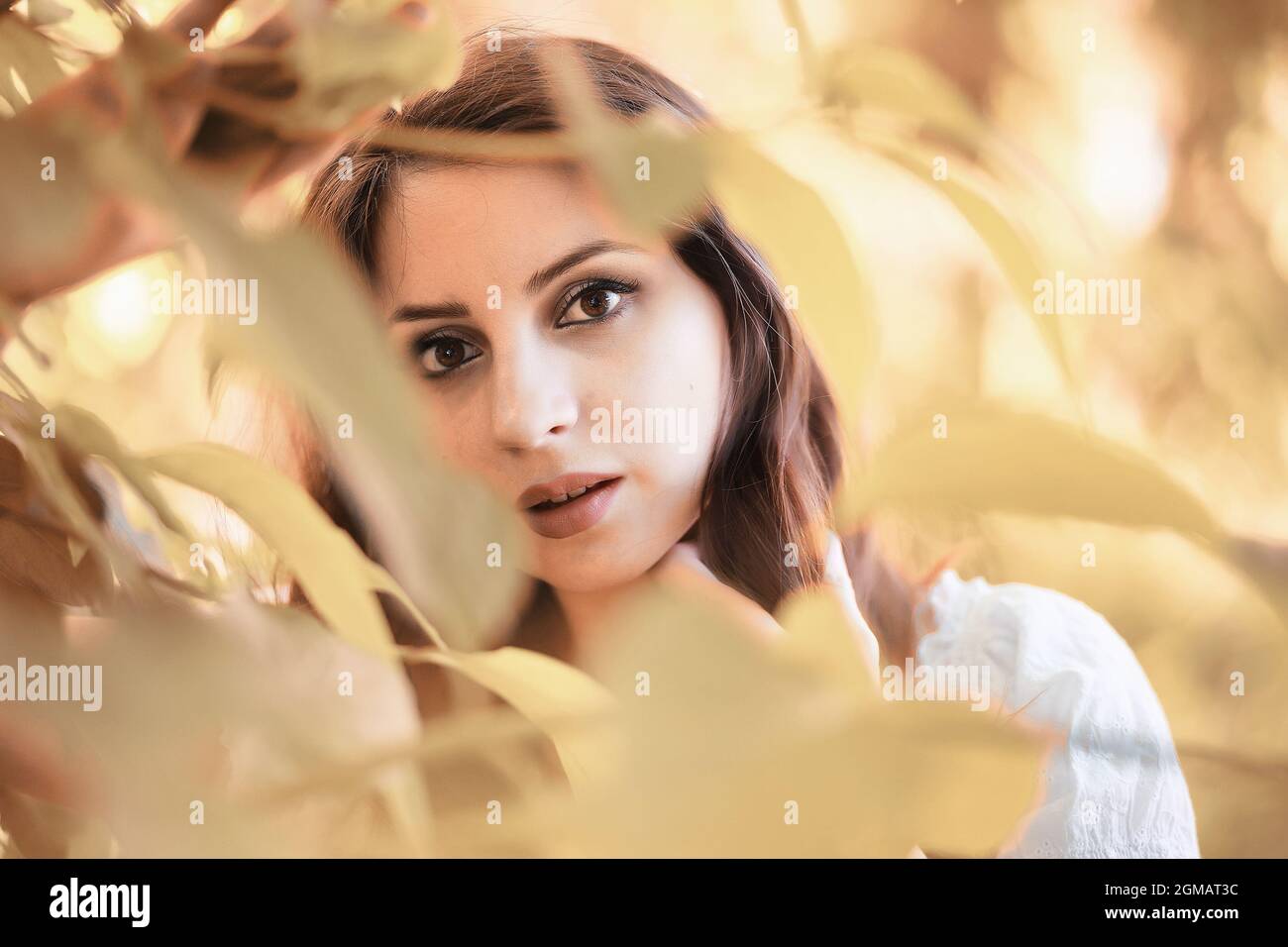 Pregnant woman in nature for a walk in the autumn Stock Photo - Alamy