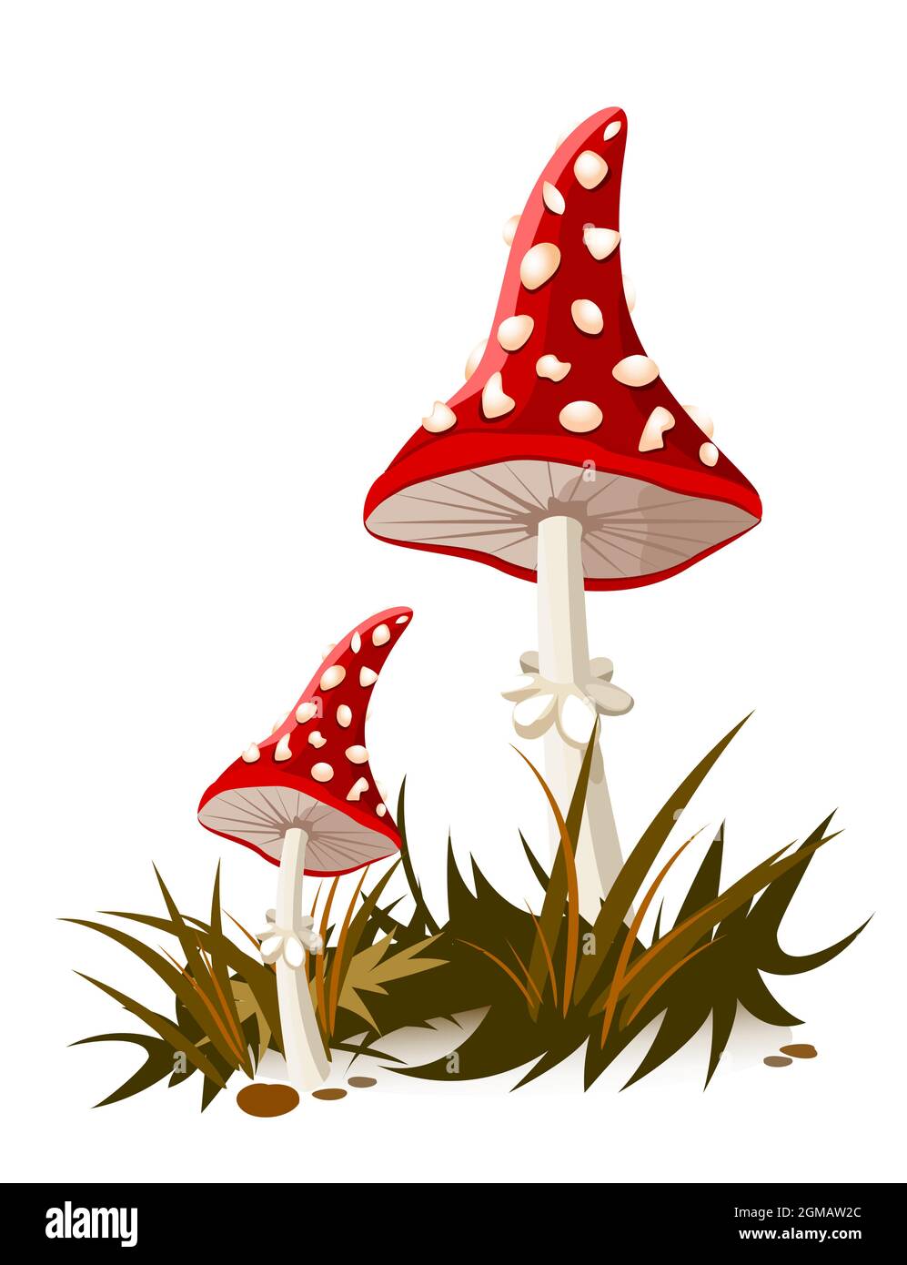 Red amanita mushroom Stock Vector Images Alamy