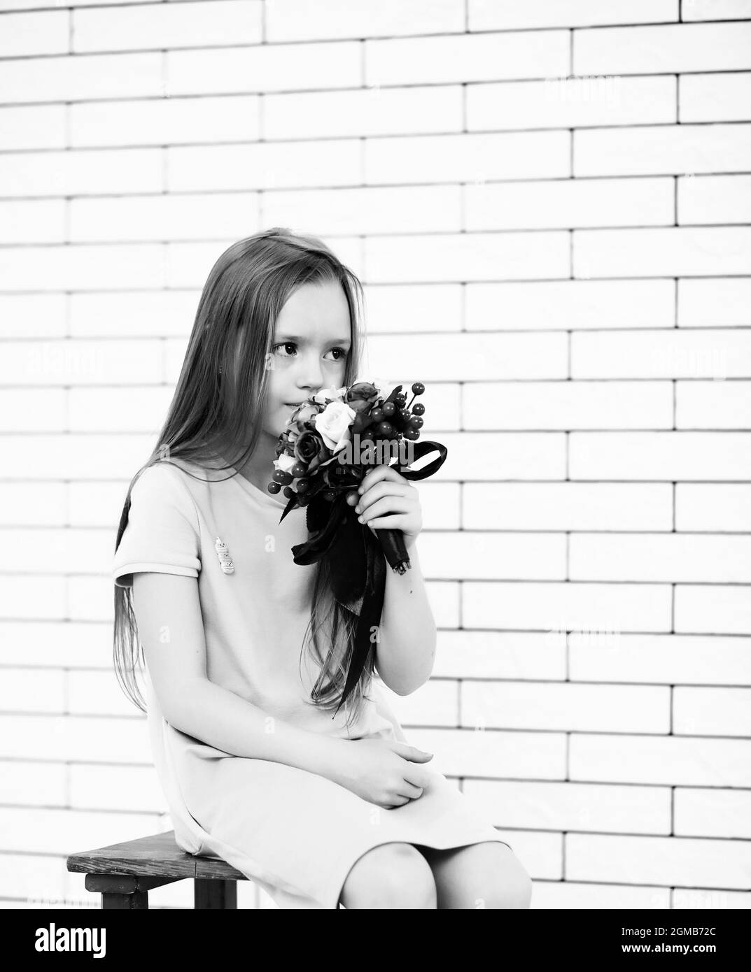 little girl is sitting on a chair and posing on the camera Stock Photo ...