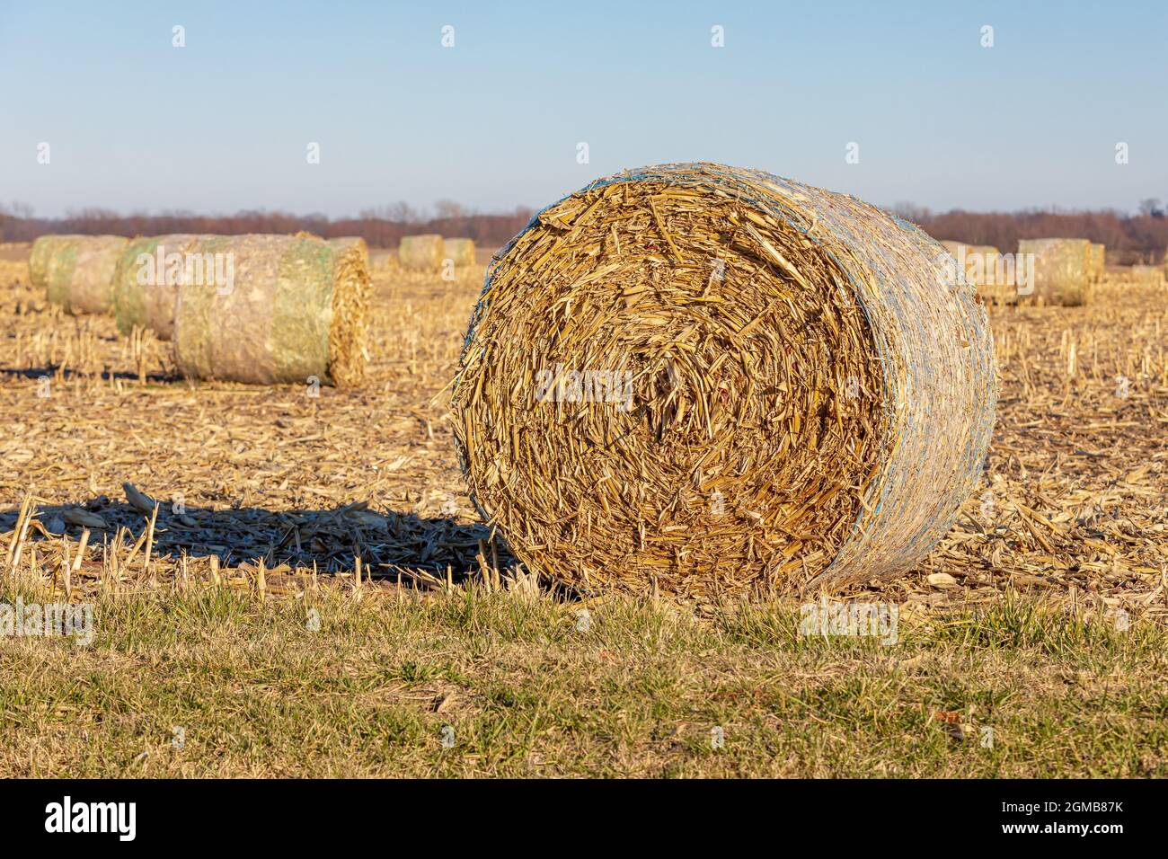 Stover bale hires stock photography and images Alamy