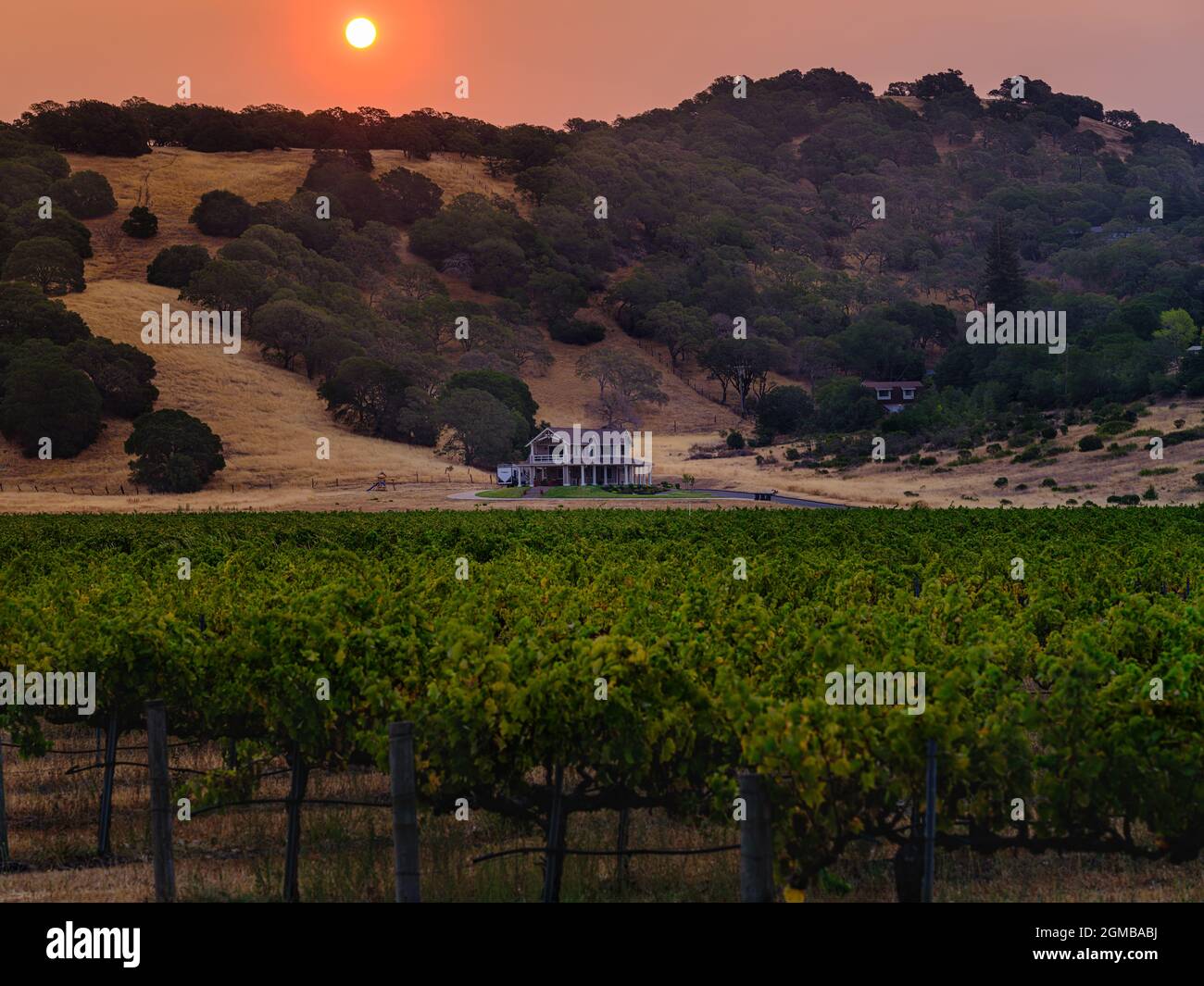 Morning red sky over the vineyard Napa Valley Stock Photo