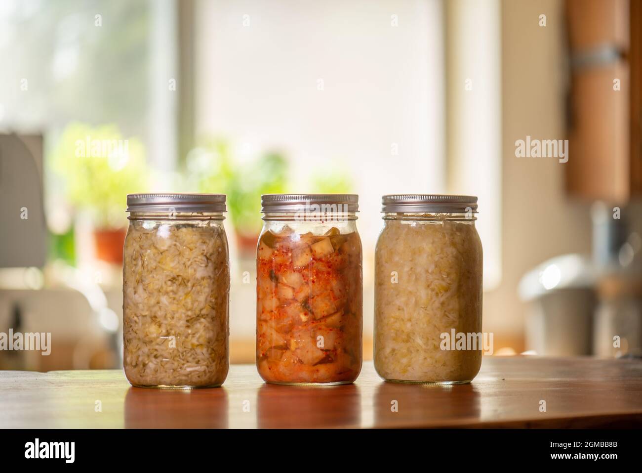Three mason jars with kimchi and sauerkraut on kitchen counter Stock Photo