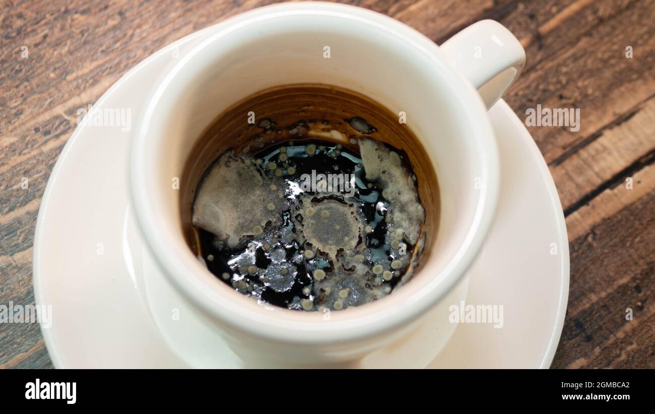 Moldy Coffee Filter Hi res Stock Photography And Images Alamy moldy-coffee-filter-hi-res-stock-photography-and-images-alamy