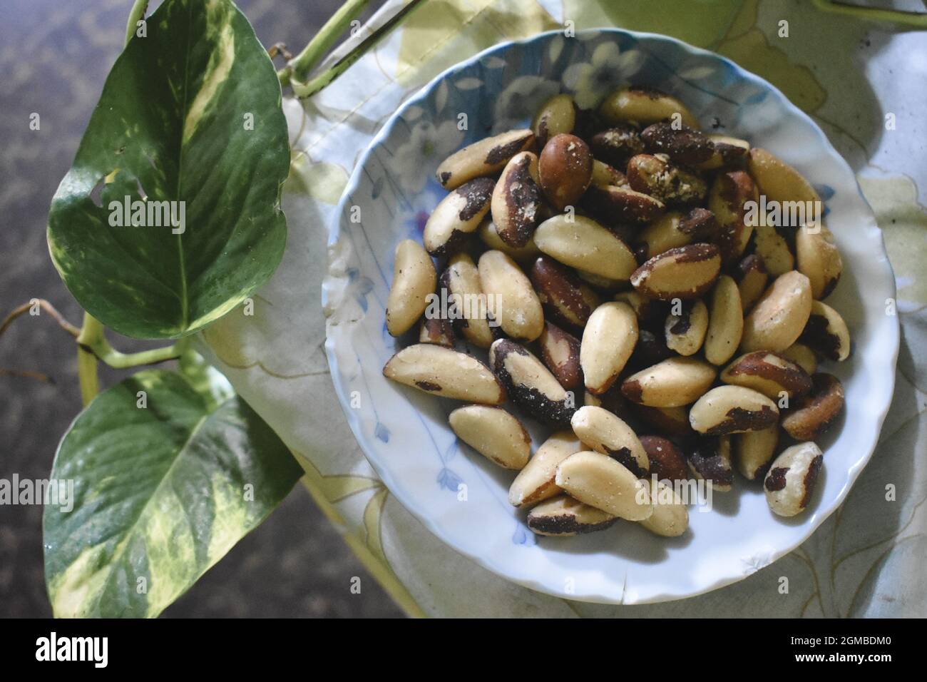 Brazil nuts on a saucer  top view with a plant beside. Stock Photo