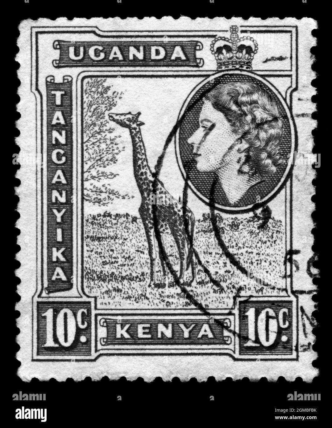 Stamp print in Uganda,Tanganyika,Kenya, animals,giraffe Stock Photo