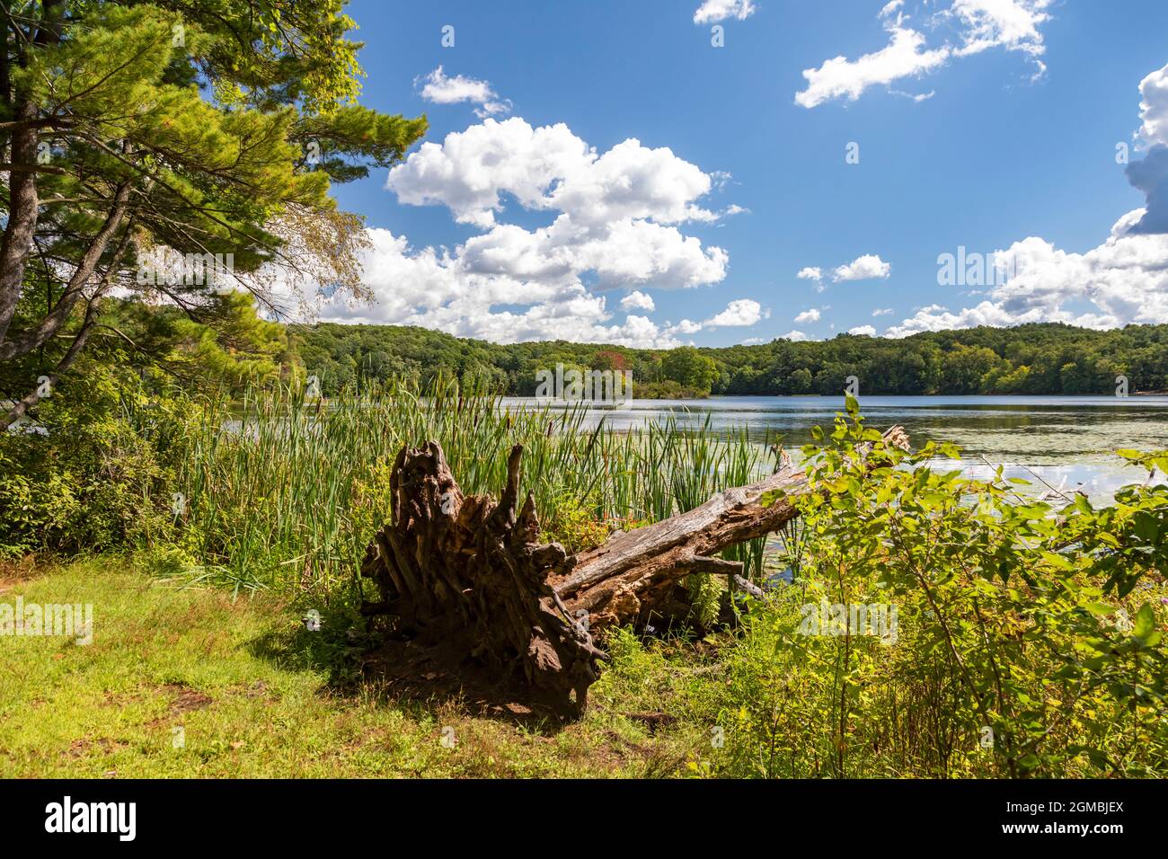 Yankee springs recreation area hires stock photography and images Alamy