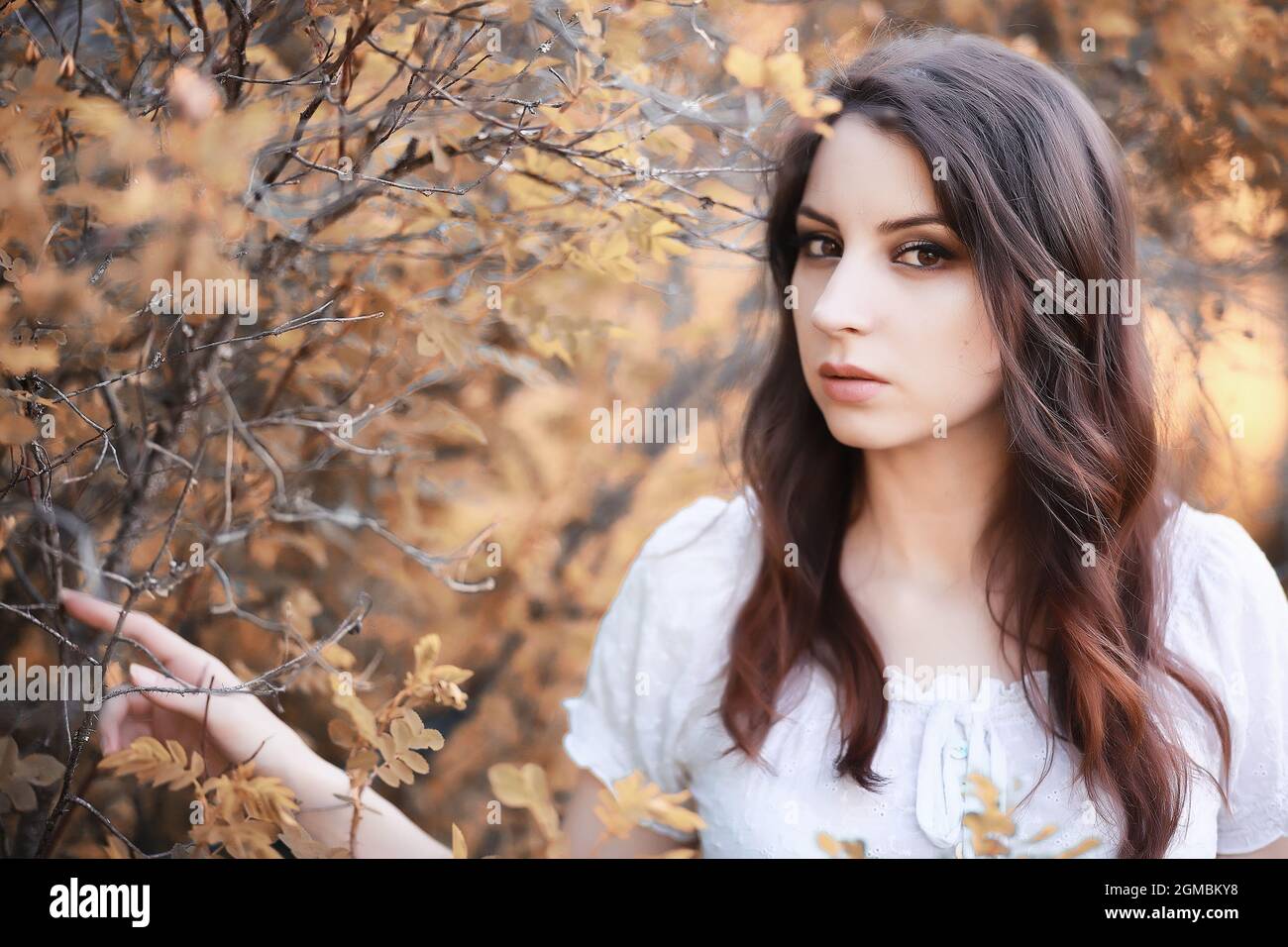 Pregnant woman in nature for a walk in the autumn Stock Photo - Alamy