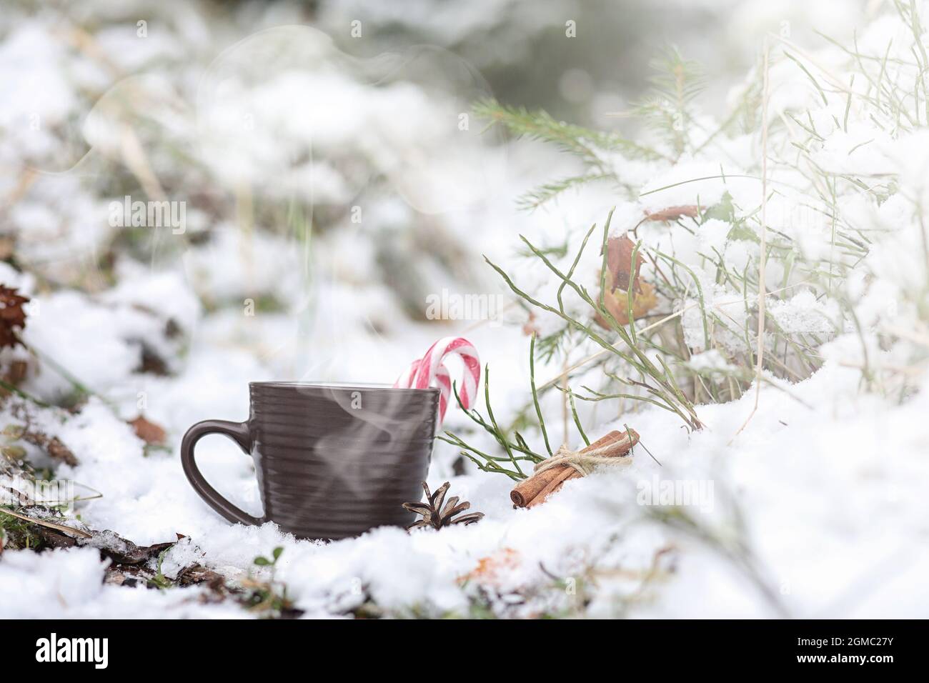 https://c8.alamy.com/comp/2GMC27Y/a-cup-with-a-hot-drink-in-the-winter-forest-hot-cocoa-with-cinnamon-on-the-background-of-winter-forest-first-snow-and-hot-chocolate-2GMC27Y.jpg