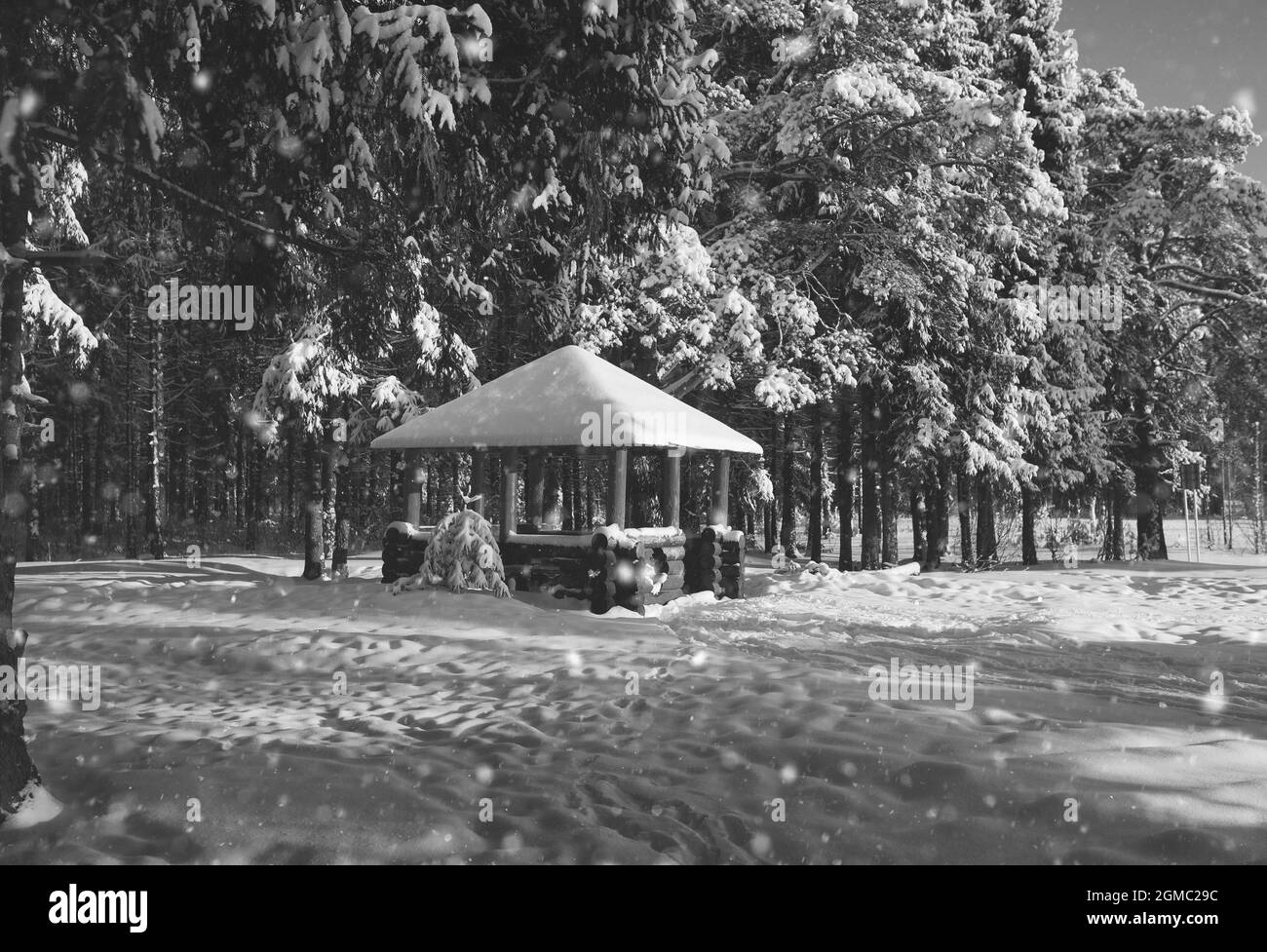 wooden gazebo in the forest in winter sunny day Stock Photo - Alamy