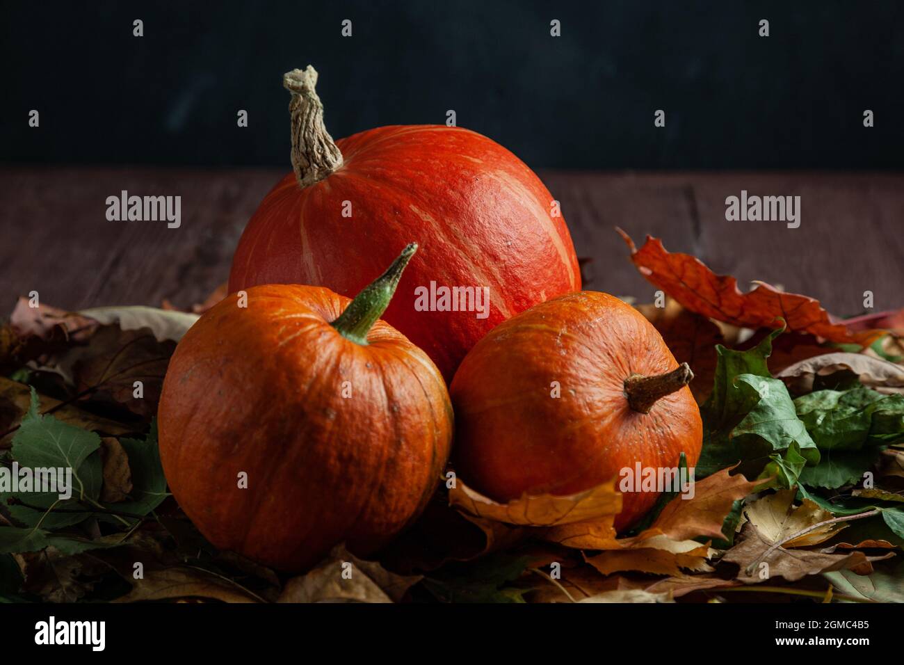 Three pumpkins lying on foliage with black background Stock Photo - Alamy