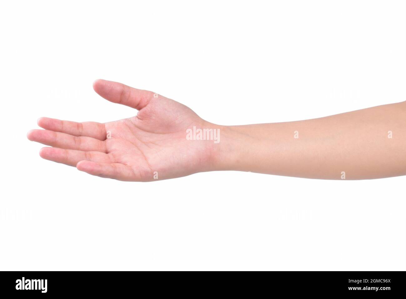 Helping hand isolated on white background, beautiful female hand isolated Stock Photo