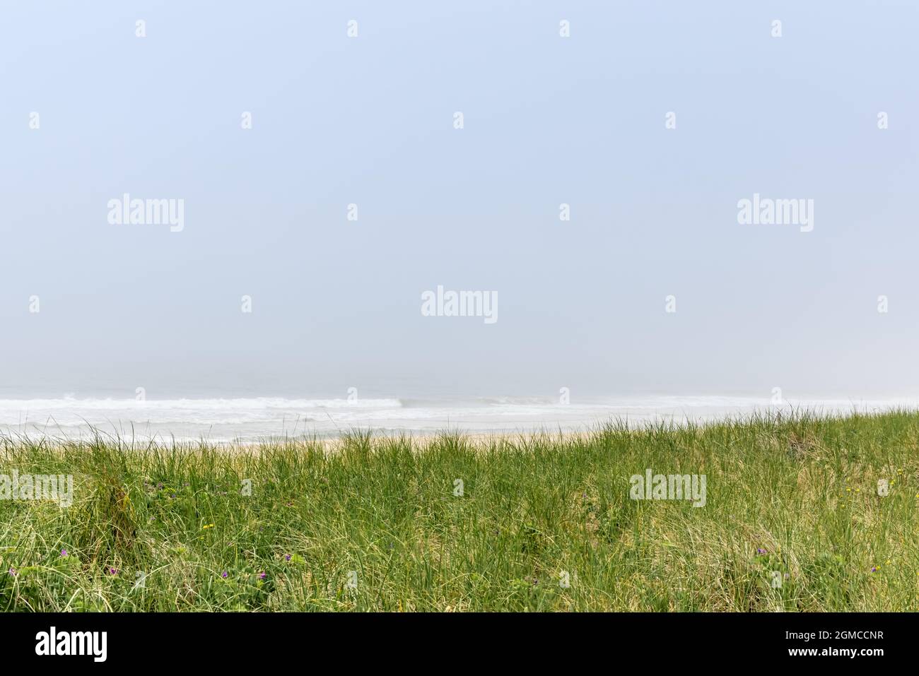 foggy day at a Hamptons ocean beach Stock Photo