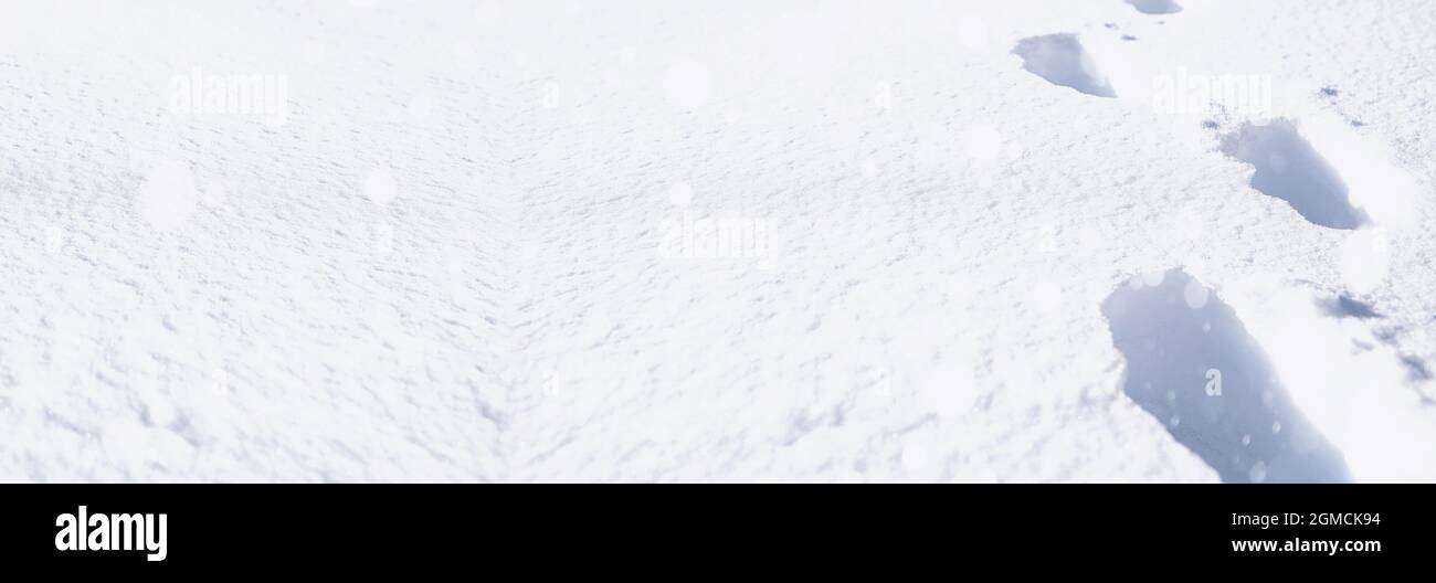 The texture of the snow. Winter rainfall. Tracks on a snowy road after ...