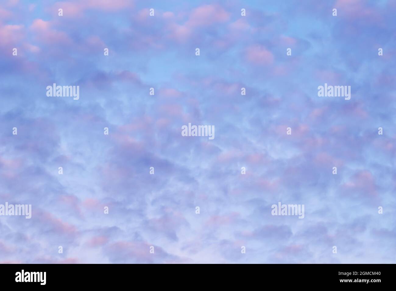 Background of blue sky with pale pink clouds in sunset Stock Photo - Alamy