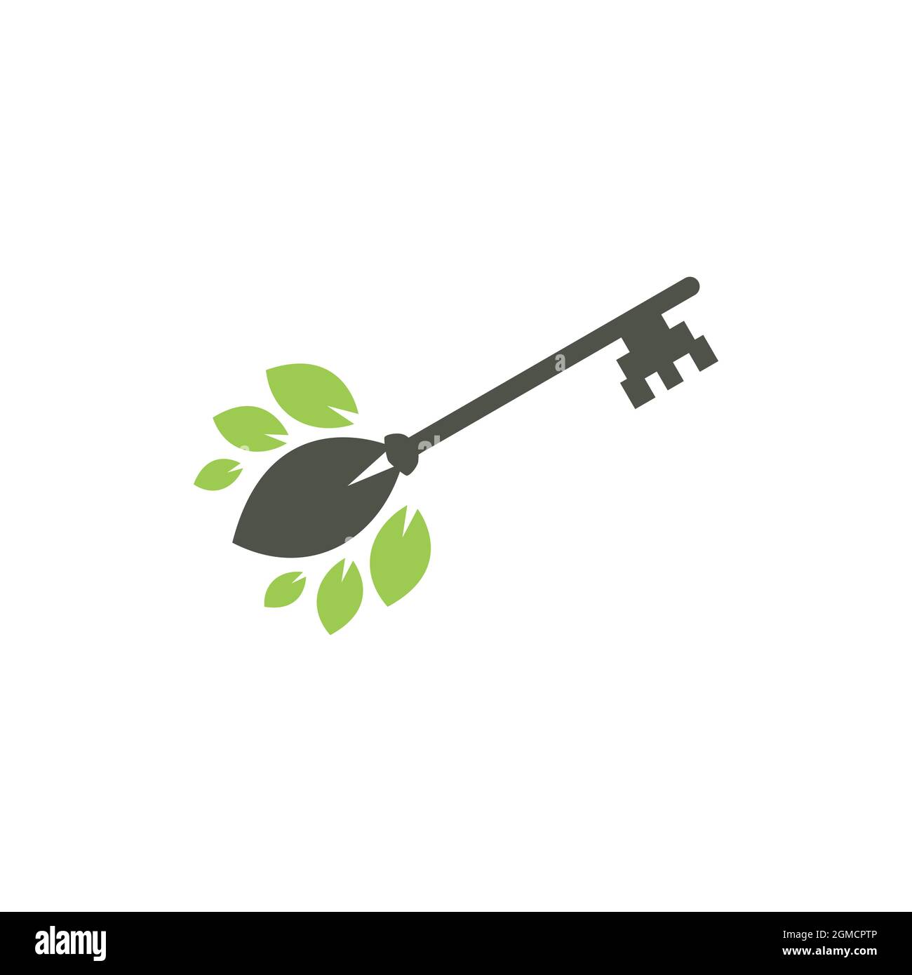 abstract key tree logo icon flat concept vector graphic design Stock
