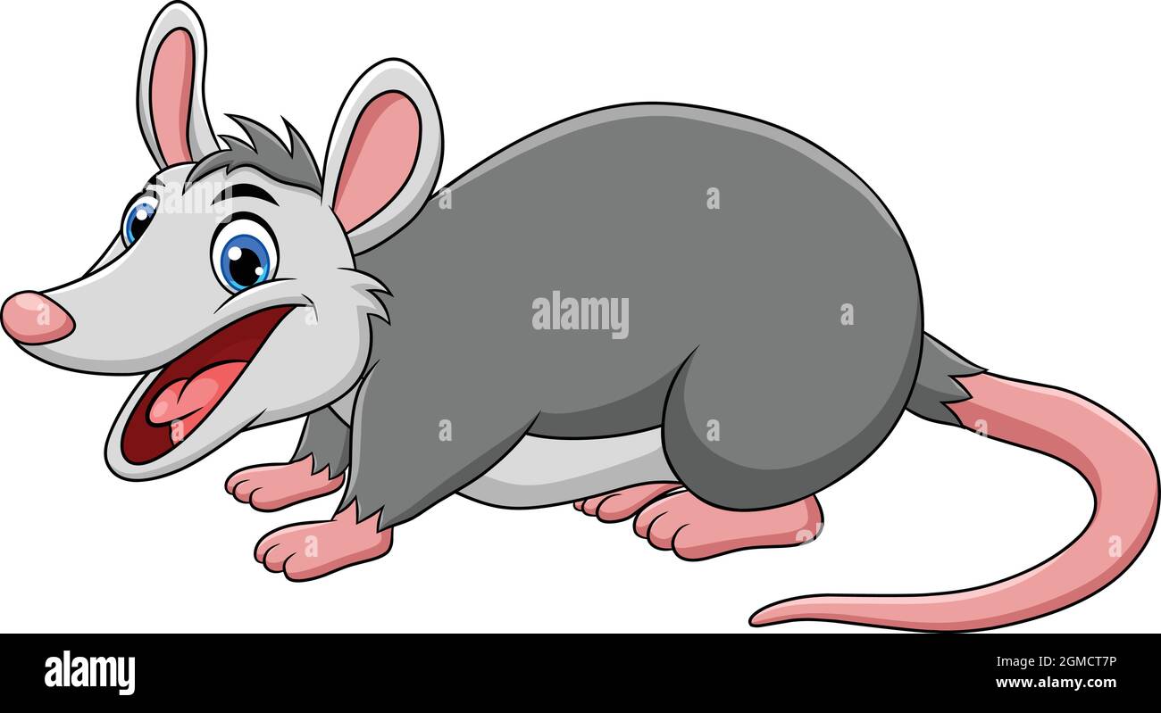 Cute Possum animal cartoon vector illustration Stock Vector