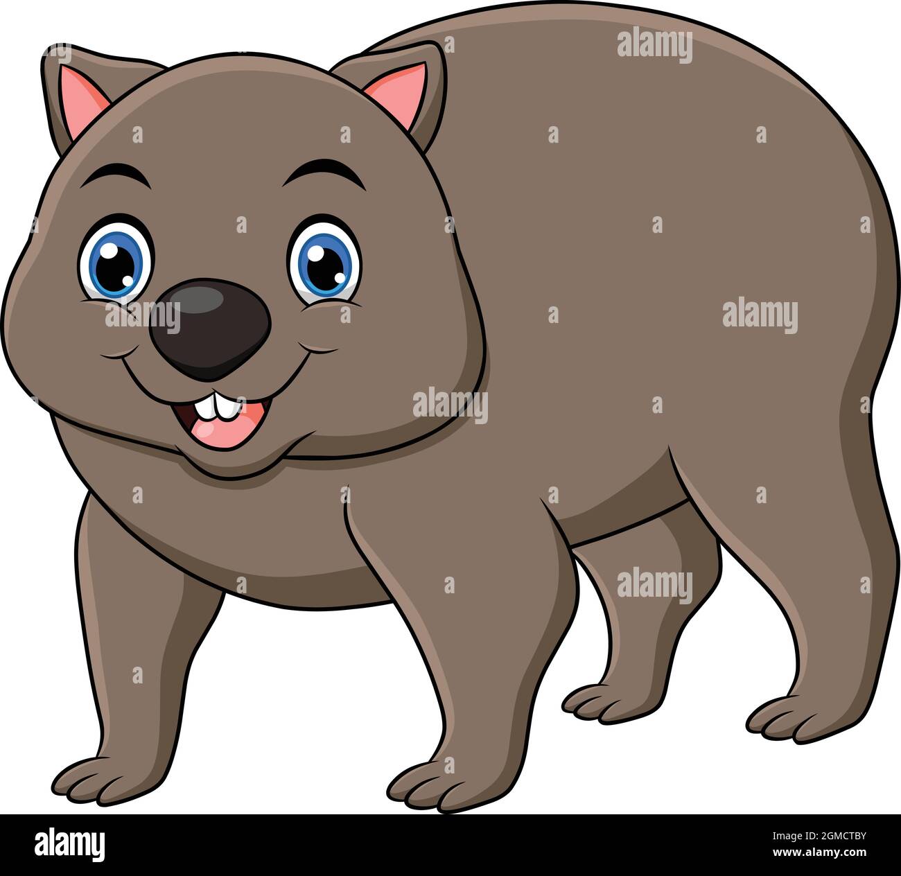 Grey Wombats High Resolution Stock Photography And Images Alamy