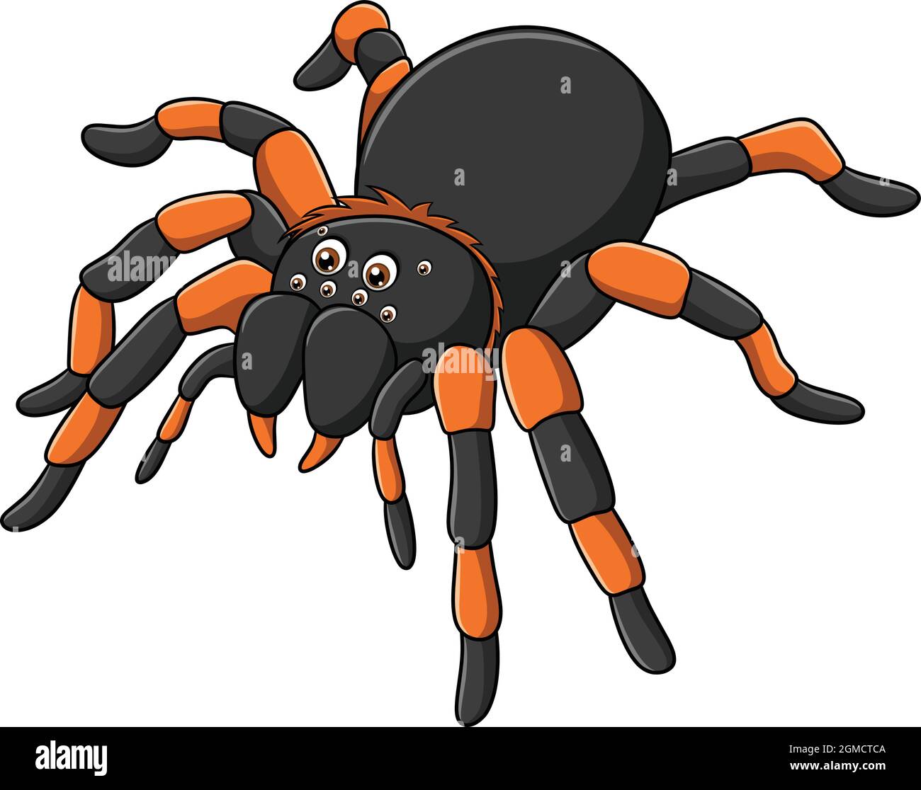 Cute Tarantula spider cartoon vector illustration Stock Vector
