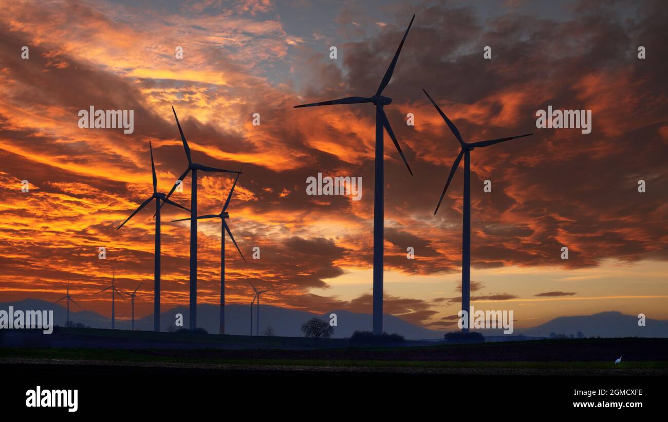 Wind power, energy efficiency and carbon neutrality Stock Photo