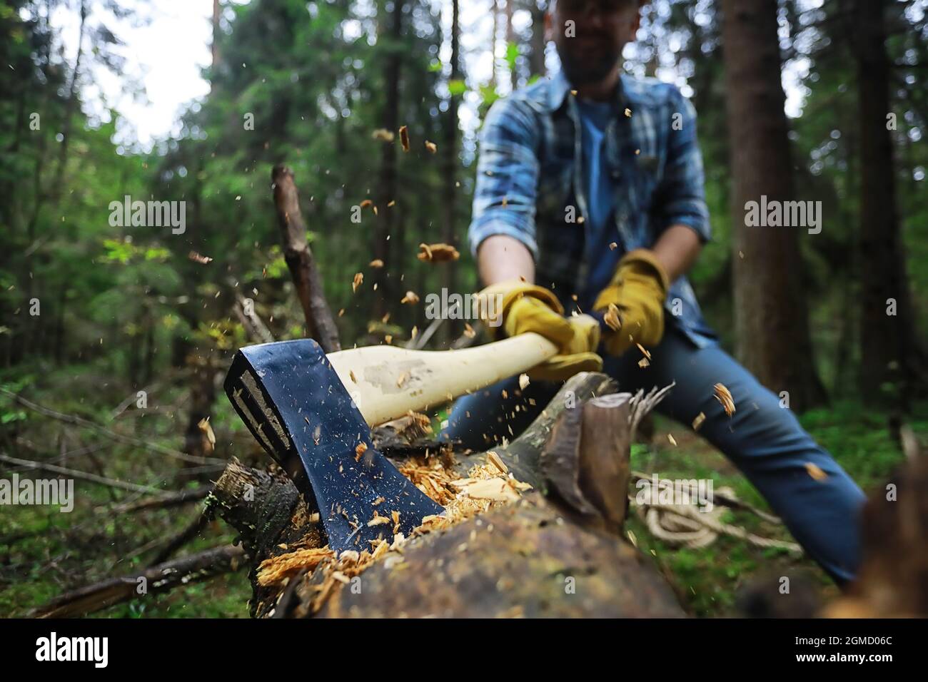 Lumberman chopping wood ax close hi-res stock photography and images ...