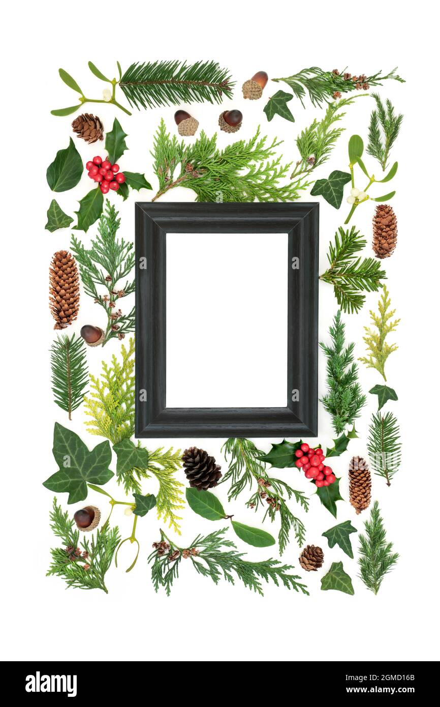 Abstract Christmas and winter frame with greenery.  Natural solstice, Christmas and New Year nature arrangement. On white background. Top view. Stock Photo