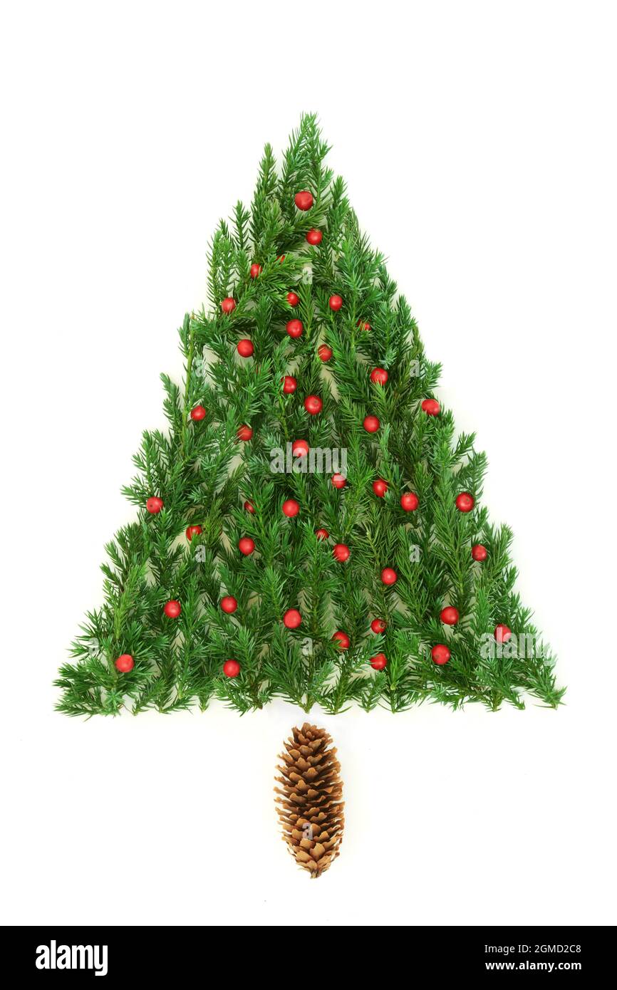 Abstract Christmas tree shape with juniper fir leaf sprigs, holly berries. Eco friendly, ecological, natural winter greenery concept. On white. Stock Photo