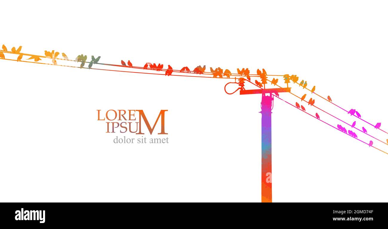 Multicolored Birds on wires. Vector illustration Stock Vector Image ...