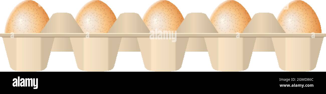 Eggs in carton box on a white background. Stock Vector
