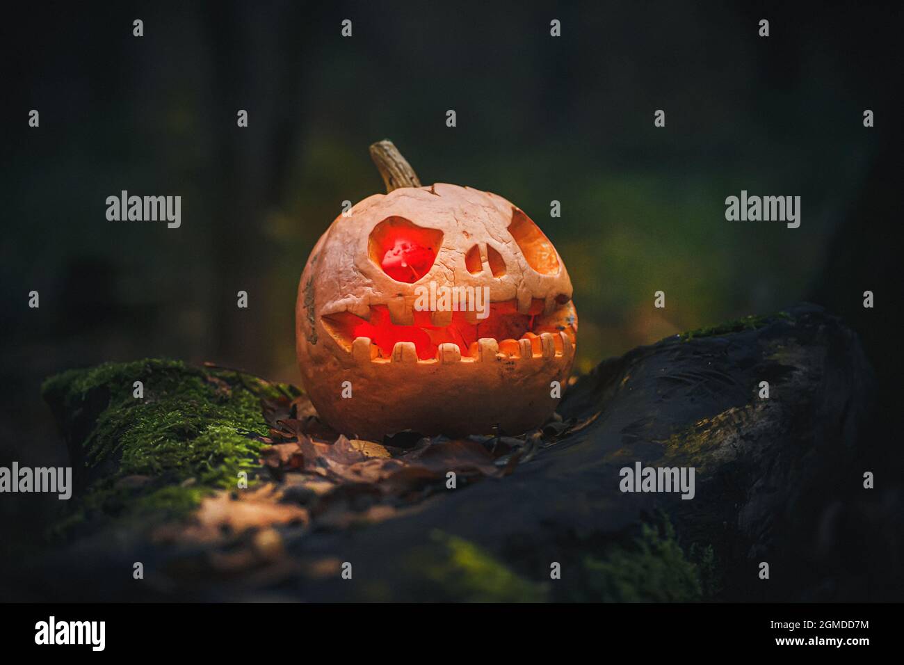 Glowing Jack O Lantern, with an evil face. Carved pumpkin for Halloween ...