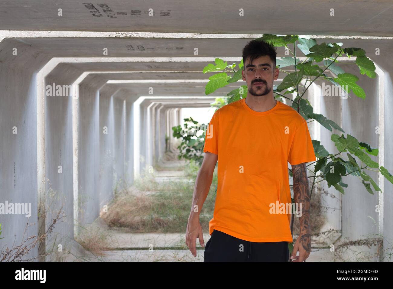 Bizarre natural structures hi-res stock photography and images - Alamy