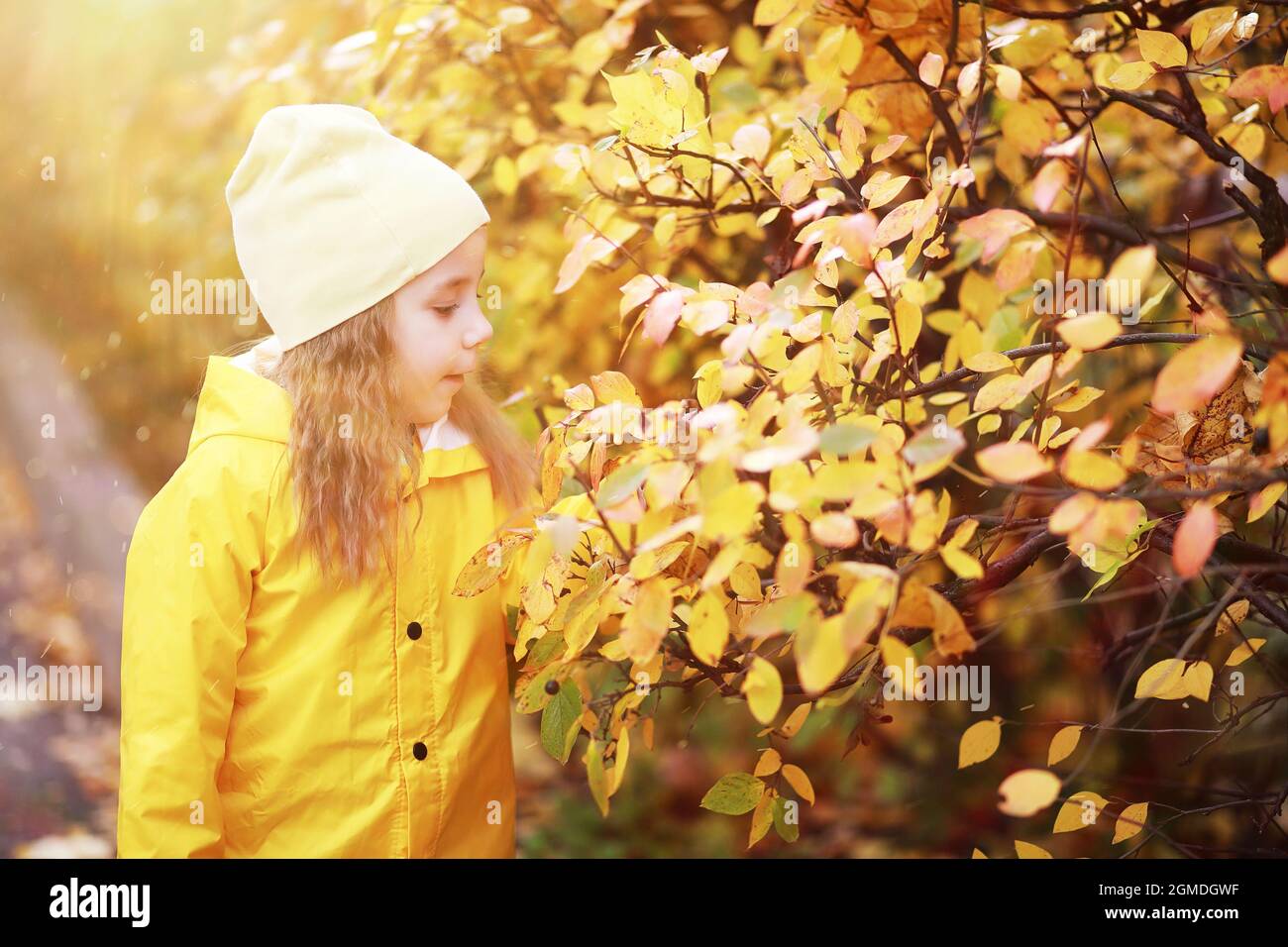 Children walk in the autumn park in the fall Stock Photo Alamy