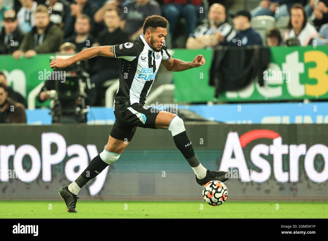 Joelinton #7 of Newcastle United in action during the game Stock