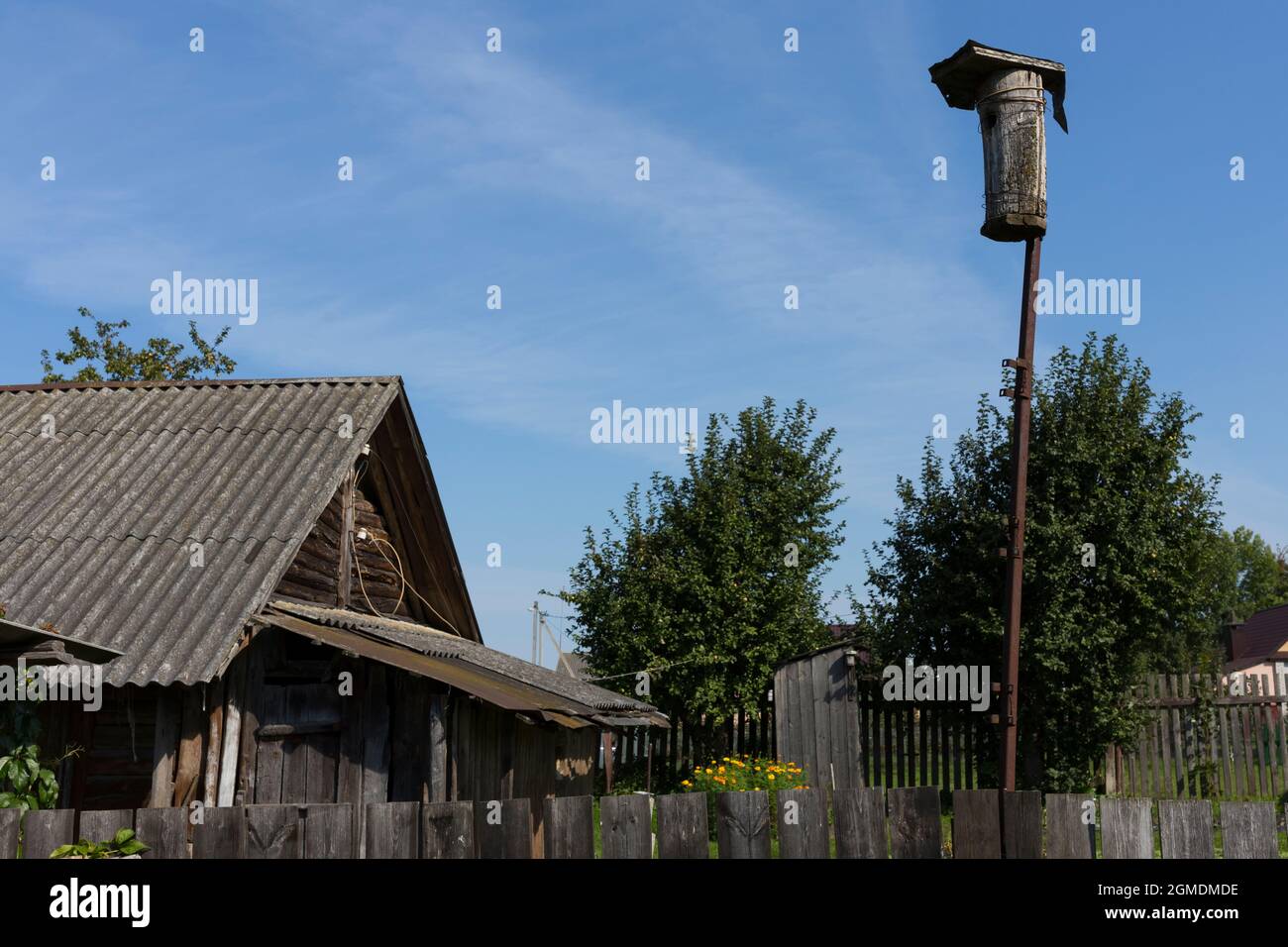 old wooden abandoned village house. summer, green grass and trees ...