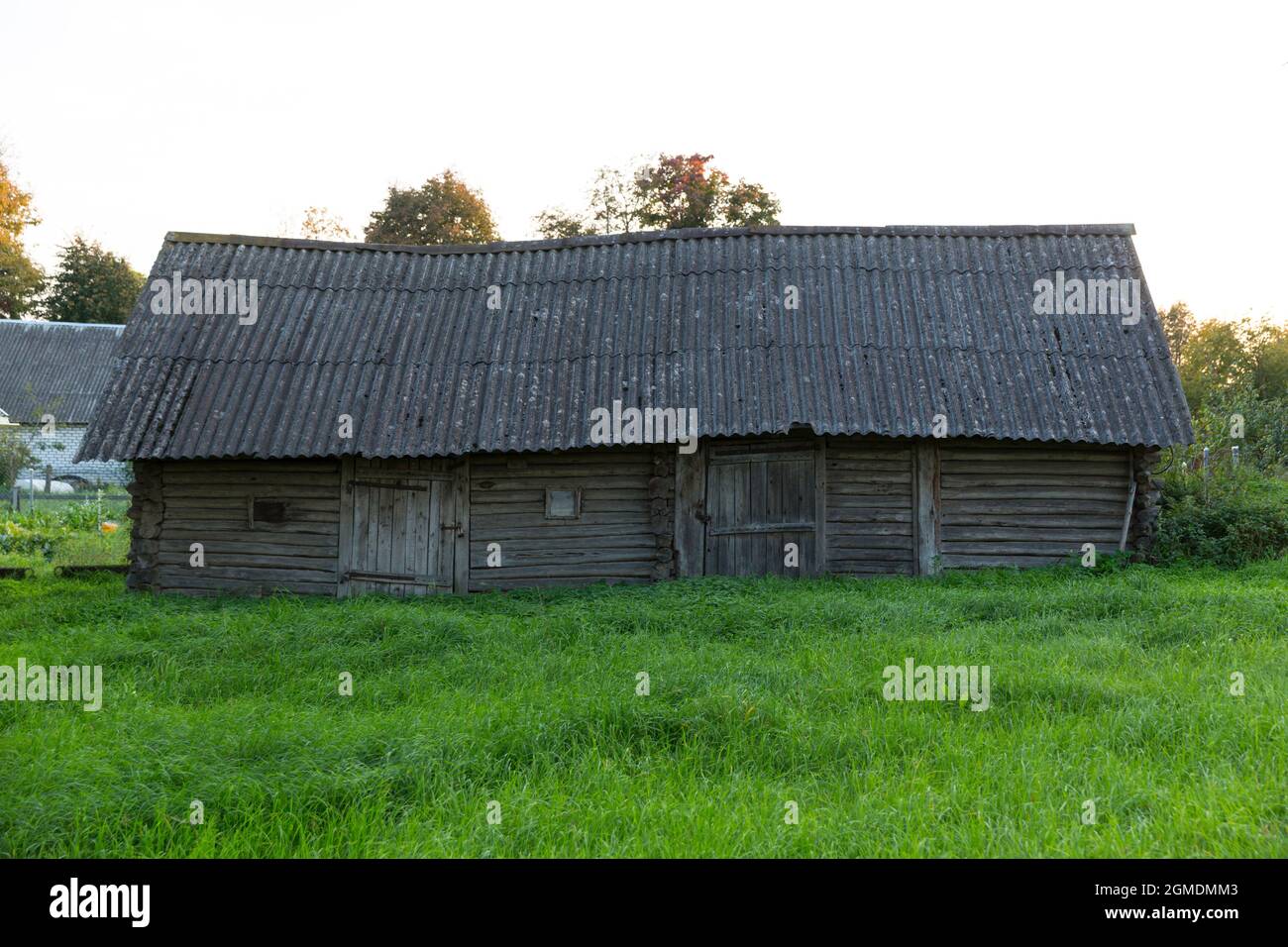 old wooden abandoned village house. summer, green grass and trees Stock ...