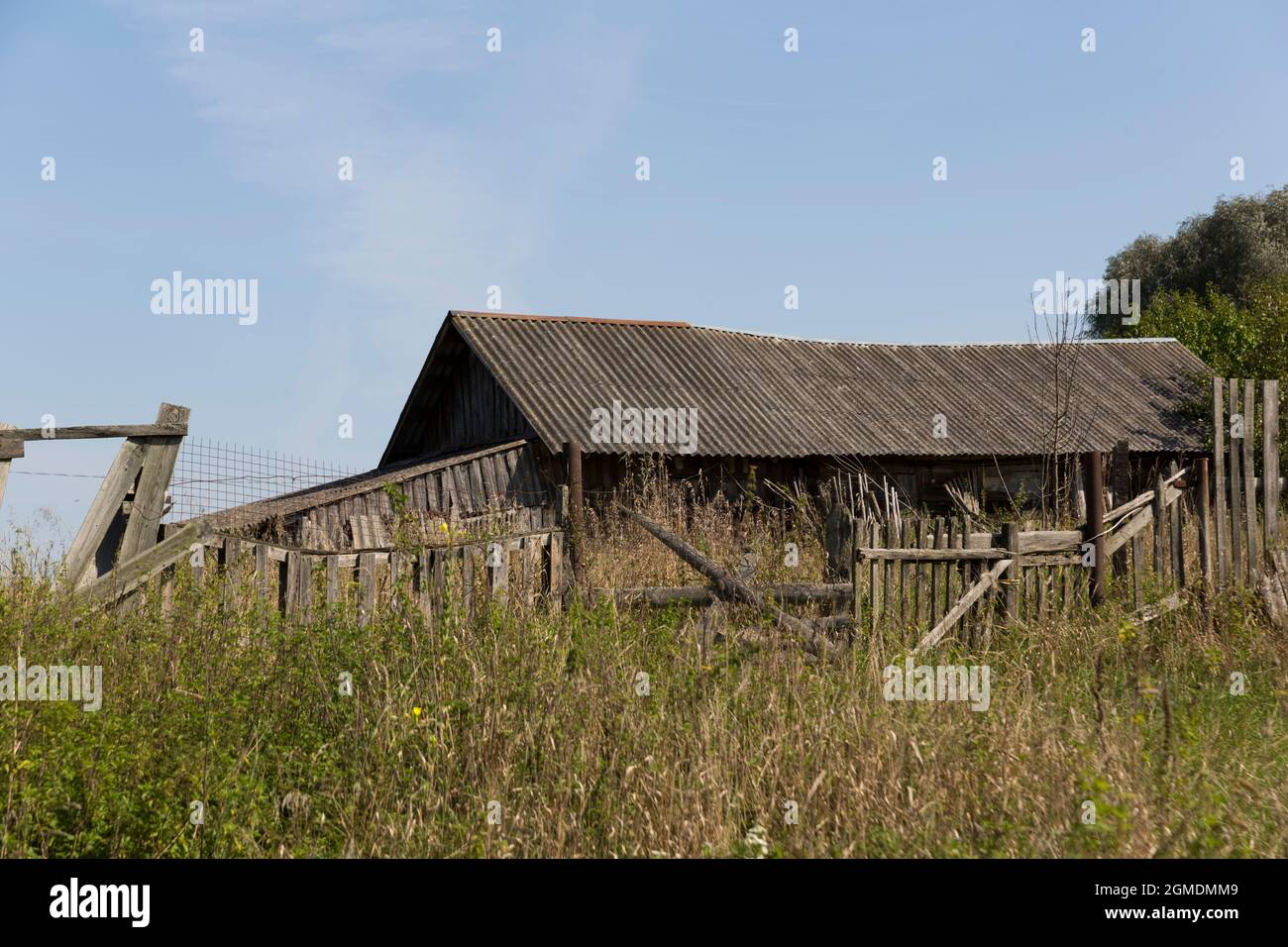 old wooden abandoned village house. summer, green grass and trees Stock ...