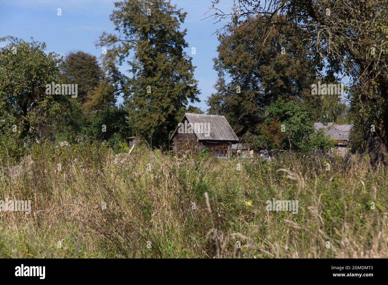 old wooden abandoned village house. summer, green grass and trees Stock ...