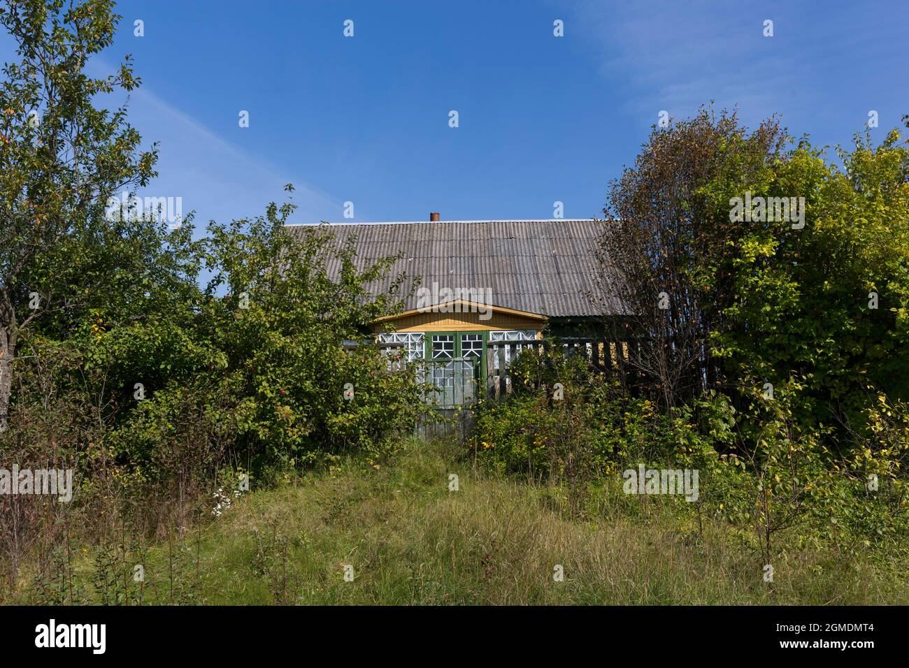 old wooden abandoned village house. summer, green grass and trees Stock ...